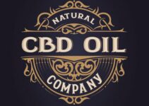 The Top Well-Established Cbd Brands For Quality And Consistency