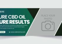 The Ultimate Guide To Premium-Grade Cbd: Everything You Need To Know