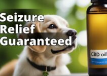 A Holistic Approach To Managing Pet Seizures With Therapeutic Cbd