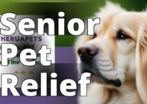 Therapeutic Cbd For Senior Pets: A Safe And Effective Solution For Aging Pets
