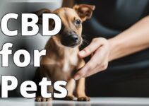 The Guide To Using Therapeutic Cbd Oil For Small Animals: Benefits, Risks, And Dosage