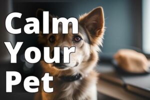 Pet Care Revolution: Managing Anxiety With Therapeutic Cbd