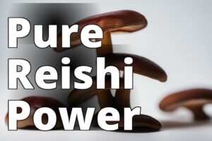 Pure Reishi Mushroom Capsules: The Natural Solution For Immune Support And Restful Sleep