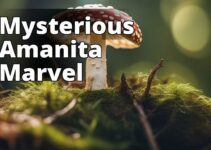 The Dangers Of Amanita Mushrooms: Identification, Toxicity, And Prevention