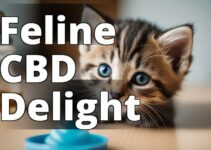 Discover The Top Cbd Oil For Kittens: A Must-Have Guide For Kitten Owners