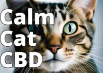 The Best Cbd Products For Anxious Cats: A Guide To Calm And Serenity
