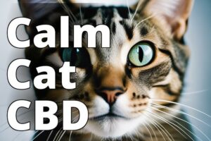 The Best Cbd Products For Anxious Cats: A Guide To Calm And Serenity