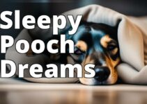 Unleash Better Sleep With The Best Cbd For Dogs: A Comprehensive Review