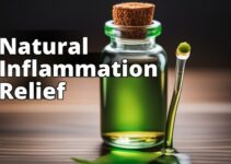 Experience Fast Relief: The Best Cbd Products For Internal Inflammation