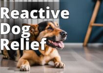 The Definitive Guide To Selecting The Best Cbd For Reactive Dogs