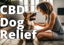 The Ultimate Guide To The Best Cbd For Dogs With Ivdd And Pet Health