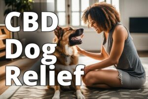 The Ultimate Guide To The Best Cbd For Dogs With Ivdd And Pet Health