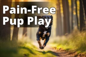 Relieve Arthritis Pain In Dogs: Find The Best Cbd Solution