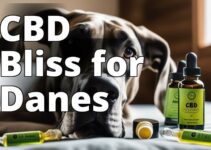 The Best Cbd For Great Danes: A Complete Guide For Pet Owners