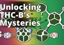 Understanding Thc-B: A Comprehensive Exploration Of Synthetic Cannabinoids
