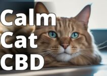 Unleash Calm: Discover The Best Cbd For Aggressive Cats
