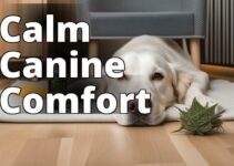 The Definitive Guide To Finding The Best Cbd For Anxious Dogs In Pet Care